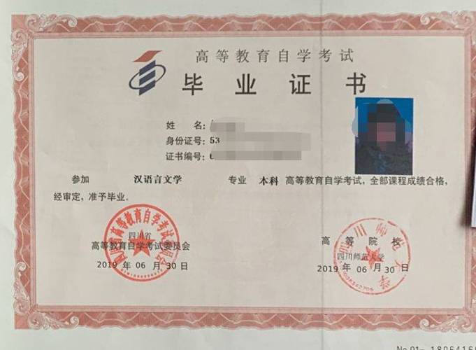 自学考试的学历在学信网可以查吗