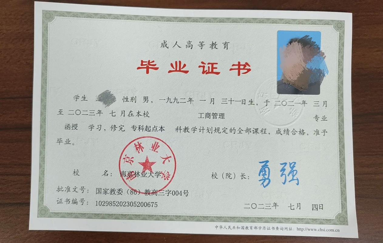 成人本科可以考研吗