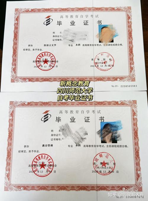 如何填写自考的学历类型?