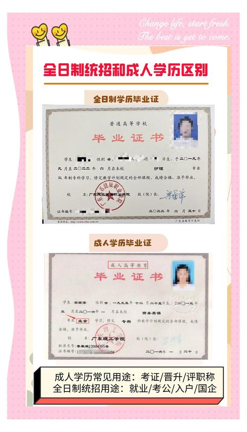 全日制学历怎么填写