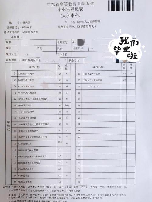 自考本科是什么学历类别 自考本科是什么学历类别